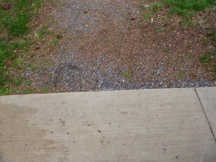 Paved surface on to natural surface with gravel at shelter – may have a lip Paved surface on to natural surface with gravel at shelter – may have a lip