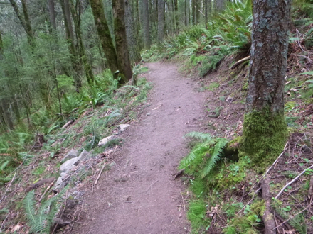 Cross slope on the Boomer Trail – may be steep Cross slope on the Boomer Trail – may be steep