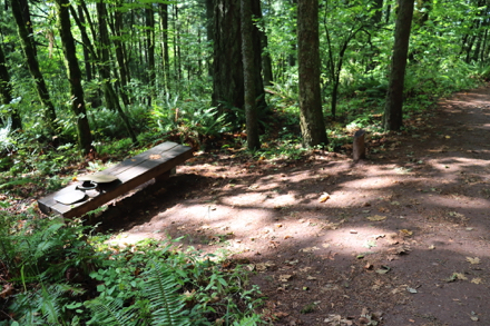 Tactile art on bench along natural surface Boomer Trail Tactile art on bench along natural surface Boomer Trail