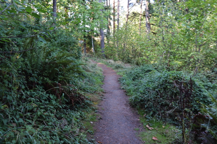 Boomer Trail may narrow because of encroaching foliage Boomer Trail may narrow because of encroaching foliage