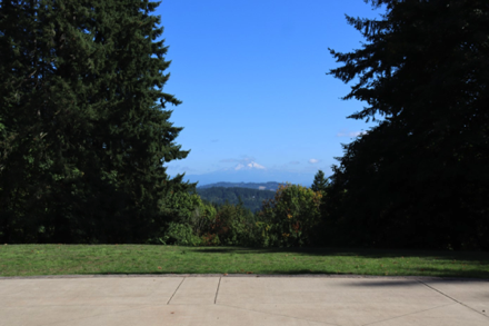 View from the shelter