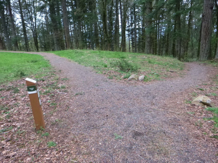 Junction of natural surface Lava Dome and Boomer Trails with directional signage