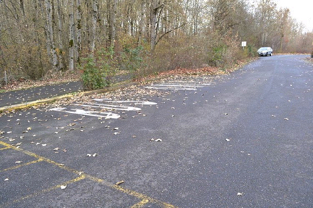 Marked parking space for one group bus