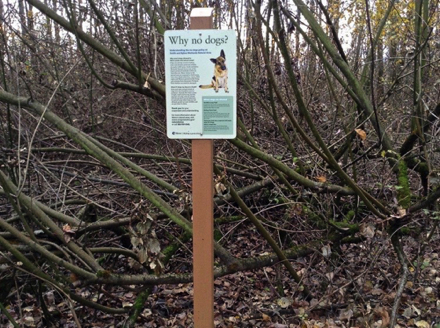 Rules related to dogs