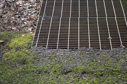 Transition from paved trail to metal ramp may have a bump