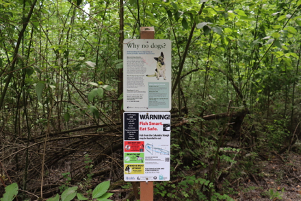 No dogs allowed &ndash; fish unsafe to eat
