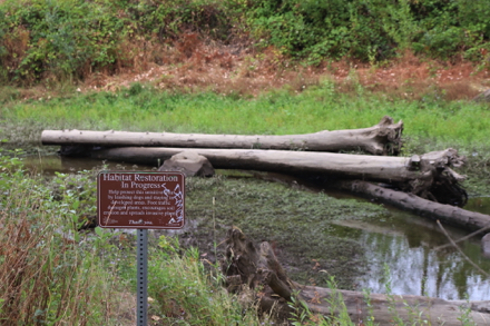 Habitat Restoration in Progress &ndash; keep dogs on leash &ndash; stay on trails