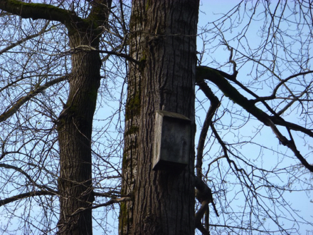 Bat houses