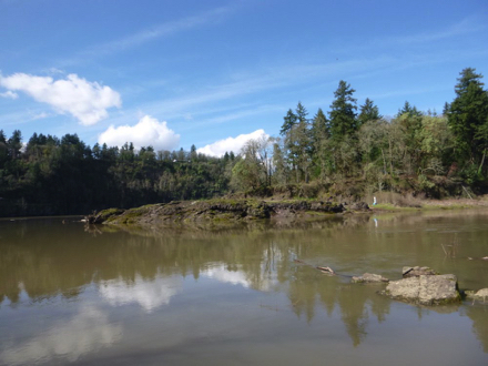 Elk Rock Island can be accessed when the water is low