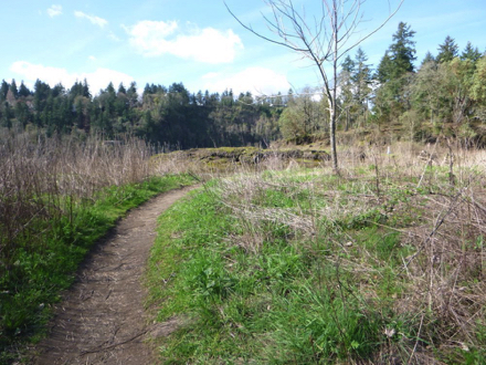 Unofficial natural surface trail through grasslands - steep grade - narrow and rocky