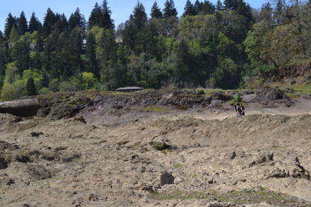 Willamette River with seasonal low water allows access to Elk Rock Island from Spring Park