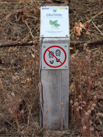 Signage: Caution: Poison oak &ndash; do not walk in undeveloped areas