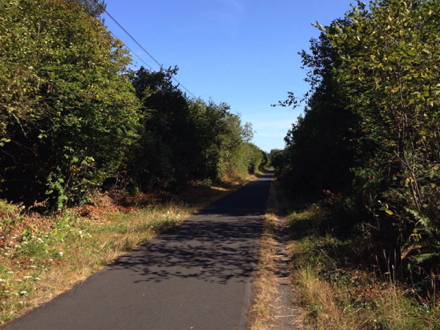 About half of the trail &ndash; the section that corresponds to Gresham &ndash; is through the woods