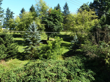 As one heads south from  Gresham, woods give in to fields, orchards...