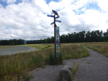 Pole with pictures of migrating birds &ndash; signage showing directions of bird migration &ndash; sitting area