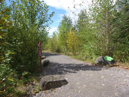 Start of the Gibbons Creek Wildlife Art Trail &ndash; wide compacted gravel trail through park &ndash; sign about Art Walk Trail