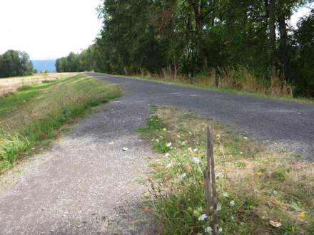 Gibbons Creek Trail meets Columbia River Dike Trail &ndash; go East to continue loop &ndash; bike rack &ndash; no bikes in the refuge
