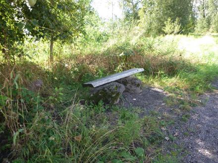Bench on the seasonal wetland trail &ndash; bench seat is not level