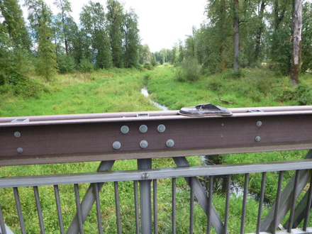 Wooden foot bridge with railing over lake on the Gibbons Creek Wildlife Art Trail &ndash; art piece of an insect on railing
