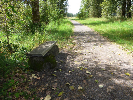 Bench on the seasonal wetland trail &ndash; trail is closed October 1 through April 30 for bird migration