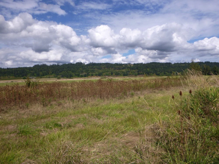 View from the seasonal trail towards the wetland, lake and Hwy 14