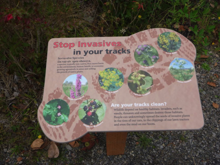 Sign explaining invasive plants species on shoes &ndash; shoe cleaning station with boot brush