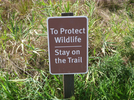 Posted sign that says &lsquo;To protect wildlife stay on the trail&rsquo;