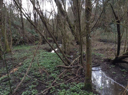 Stephens Creek that flows through the park