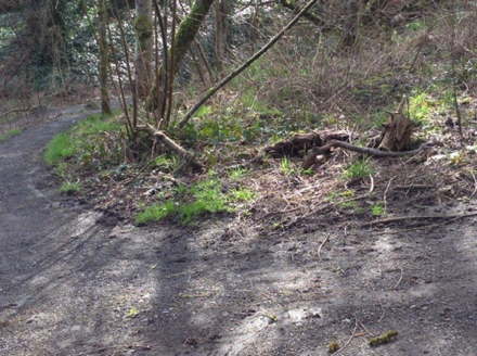 Trails along the creek may be flooded at times due to high water