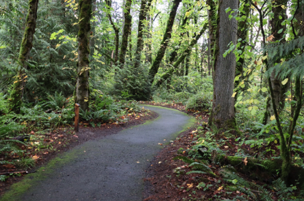 The paved Trillium Trail