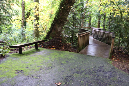 Bench before entering a second viewpoint off the Trillium Trail