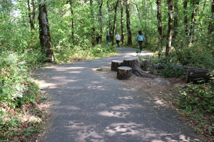 Natural seating in shade along Oak Trail &ndash; off paved trail on natural surface