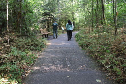 Bench along paved Oak Trail with interpretive display &ndash; parts of paved trail are uneven
