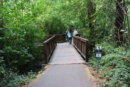 Zig-zag boardwalk with railings transitions from paved Oak Trail &ndash; surface slick when wet
