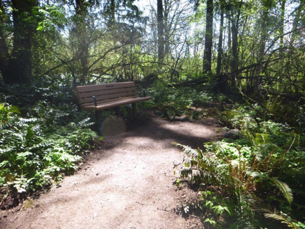 Benches located throughout trails &ndash; natural surface area &ndash; handrails on both sides