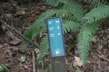 Directional signage &ndash; low to the ground at trail junctions