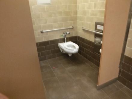 Women&rsquo;s accessible restroom in the Tualatin Library - handrail on the wall behind toilet and next to the toilet
