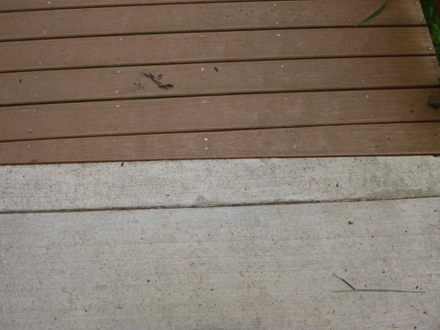 Transition from hard surface trail to boardwalk