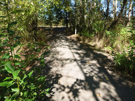 Year-round compacted gravel trail has drop-offs on both sides prior to the oak grove Year-round compacted gravel trail has drop-offs on both sides prior to the oak grove