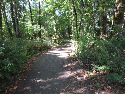 Year-round compacted gravel trail passes through woods to the Wetland Observation Deck Year-round compacted gravel trail passes through woods to the Wetland Observation Deck