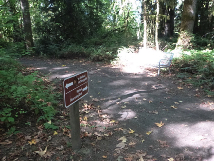 Year-round trail with bench leads to Wetland Observation Deck - junction to Ridgetop Spur - grade of 20-25% Year-round trail with bench leads to Wetland Observation Deck - junction to Ridgetop Spur - grade of 20-25%
