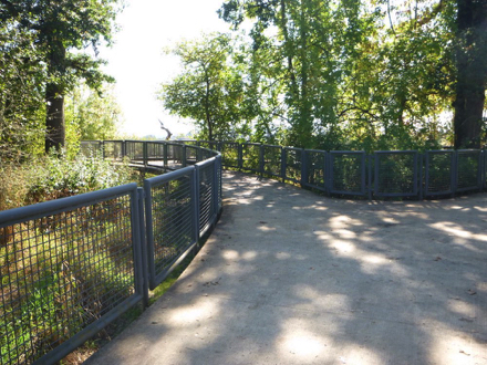 Concrete walkway on the Wetland Observation Deck - see-through metal railing - shade trees Concrete walkway on the Wetland Observation Deck - see-through metal railing - shade trees