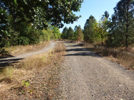 Two parallel trails - year-round gravel trail on the left - seasonal gravel trail, less maintained, on the right Two parallel trails - year-round gravel trail on the left - seasonal gravel trail, less maintained, on the right