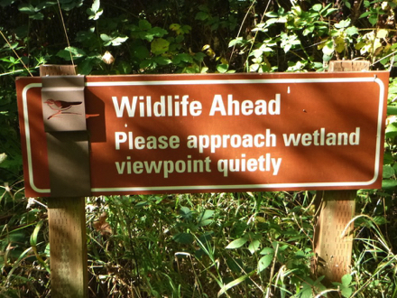 Sign at Wetland Observation Deck - &ldquo; Wildlife Ahead, Please approach wetland viewpoint quietly&rdquo;